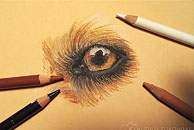 Compagraph - Grafik - Malerei - Cartoons - Fotografie - Musik